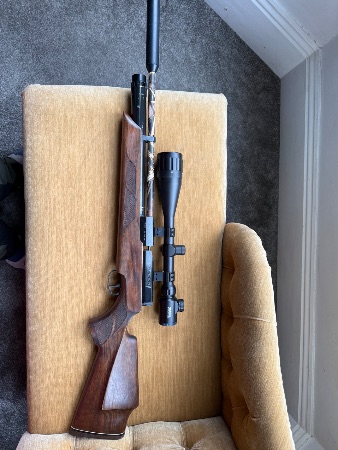 Weihraunch HW100 view 1