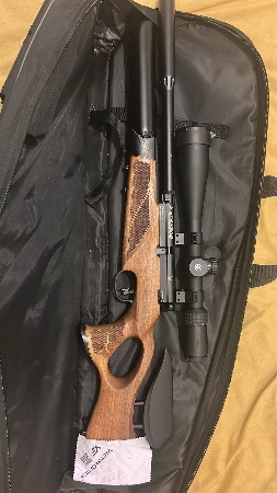 BSA R10 TH view 1